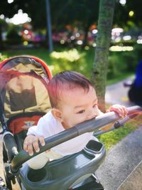 Close-up of baby in stroller at park