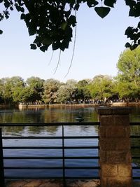 Reflection of trees in lake