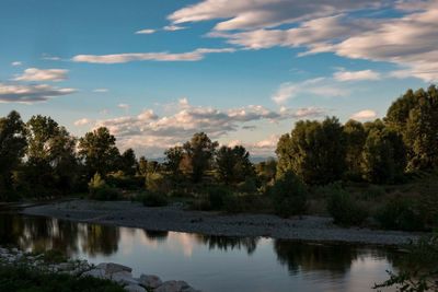 Scenic view of lake by trees against sky