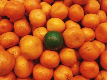 A very tempting collection of oranges