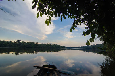 Reflection of trees in calm lake