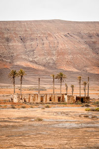 View of a desert