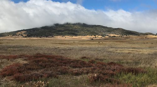 Scenic view of landscape against sky