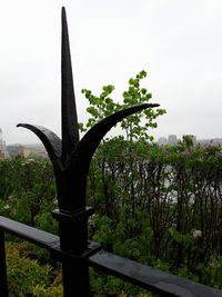 Close-up of metal tree against sky