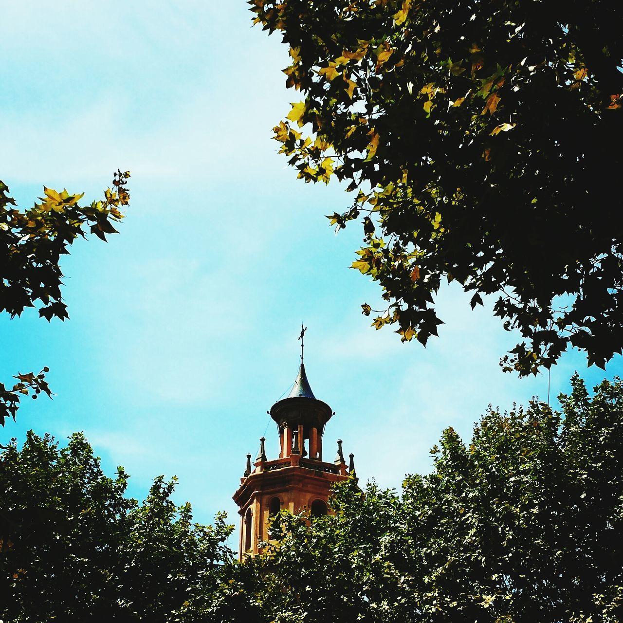 tree, low angle view, building exterior, built structure, architecture, branch, sky, growth, religion, place of worship, clear sky, high section, tower, spirituality, outdoors, nature, street light, no people, blue