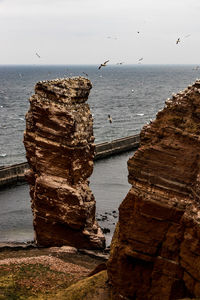 View of birds on beach