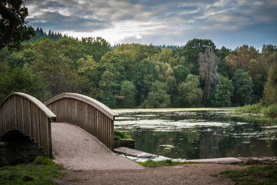 View of calm lake against trees in forest