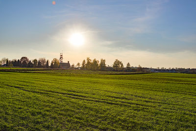 Scenic view of agricultural field against sky