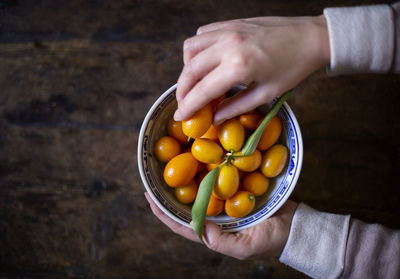 High angle view of person holding fruits in bowl