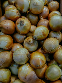 Full frame shot of seashells