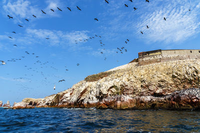 Flock of birds flying over sea against sky