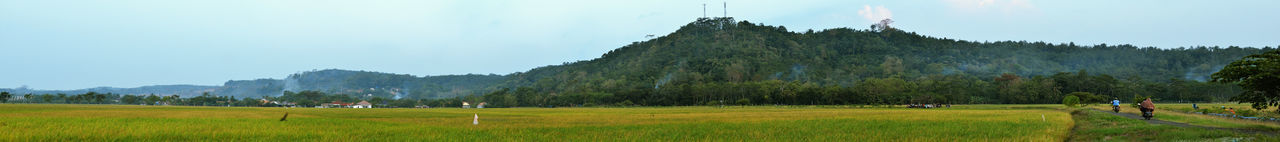 Panoramic view of trees on field against sky