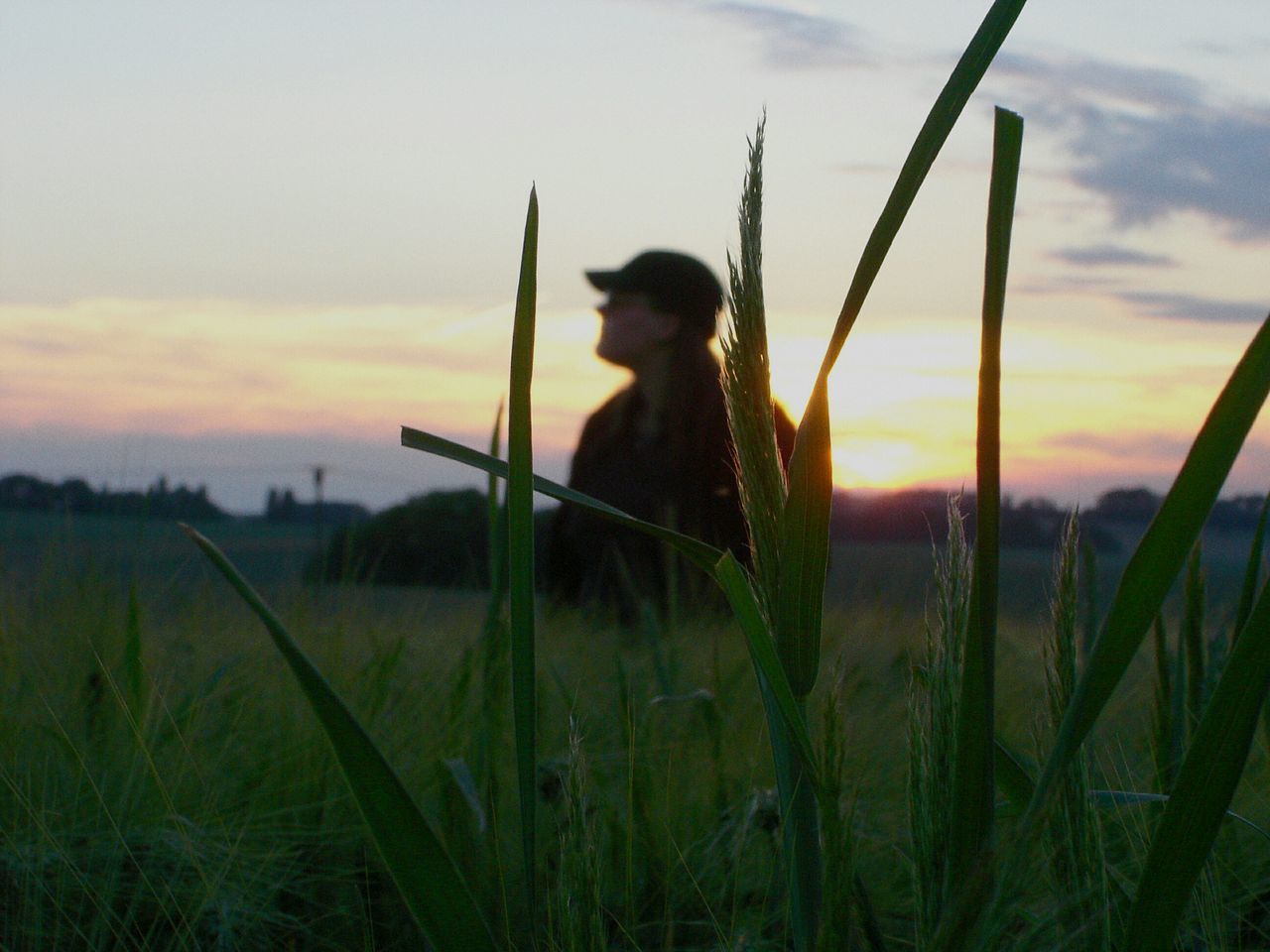 MAN ON FIELD AGAINST SKY AT SUNSET