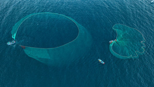 High angle view of man standing in sea