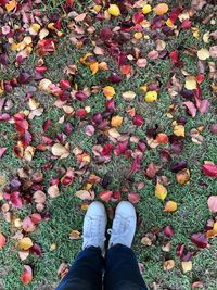 Low section of person standing by rose petals over grass