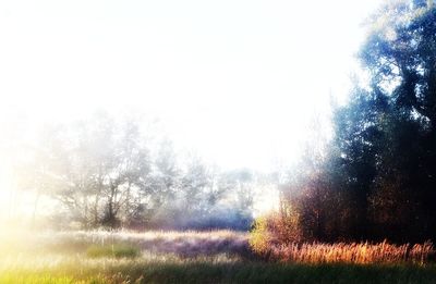 Scenic view of grassy field against cloudy sky