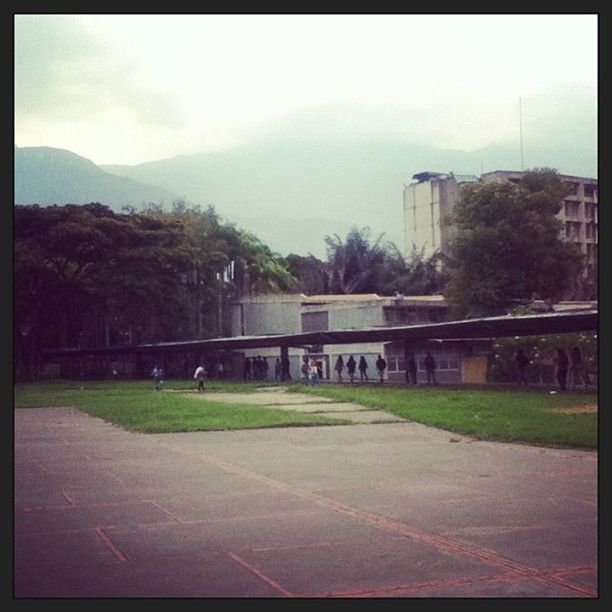 Universidad Central de Venezuela