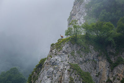 Scenic view of mountain against sky