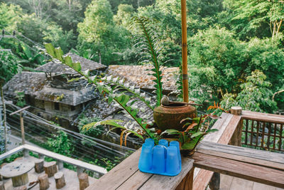 Potted plants hanging by railing against trees