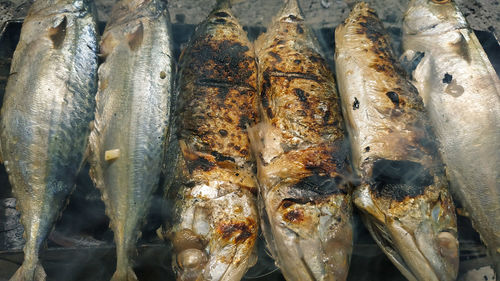 High angle view of fish for sale in market