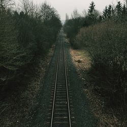 Railroad tracks amidst trees against sky