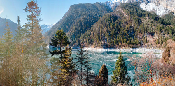 Scenic view of waterfall in forest against sky