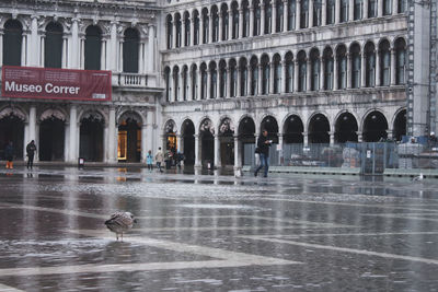 View of wet glass building