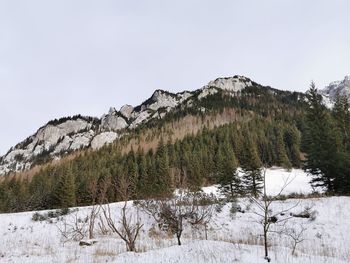 Scenic view of snowcapped mountains against clear sky