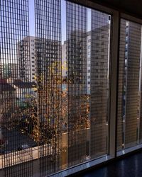 Modern building seen through window