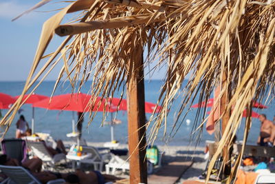 Close-up of palm trees by sea against sky