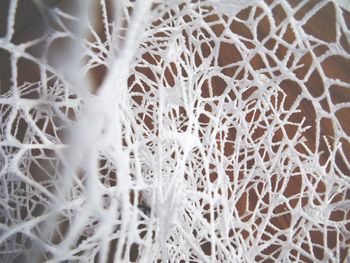 Full frame shot of pattern