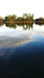 Reflection of trees in calm lake