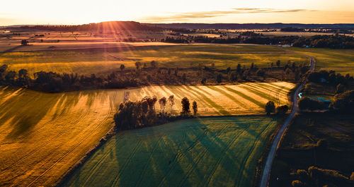 Scenic view of agricultural field against sky during sunset