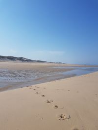 Scenic view of beach against blue sky