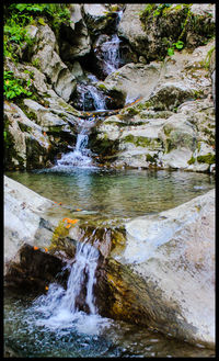 Scenic view of waterfall in forest