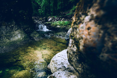 Stream flowing through rocks in forest