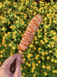 Midsection of person holding ice cream