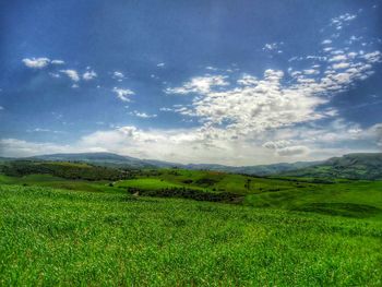 Scenic view of field against sky