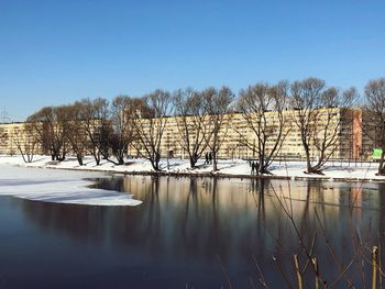 Bare trees by lake against clear blue sky