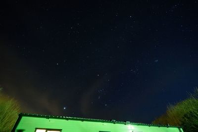 Low angle view of trees against sky at night