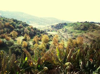 Scenic view of mountains