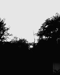 Low angle view of silhouette trees against clear sky