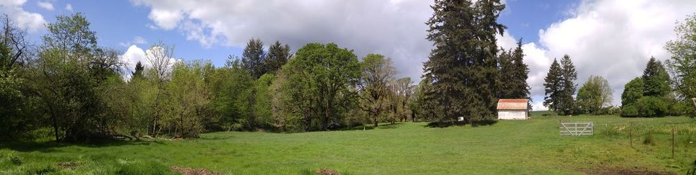 Scenic view of grassy field against cloudy sky