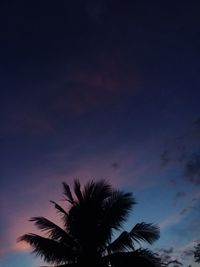 Low angle view of silhouette palm trees against sky at night