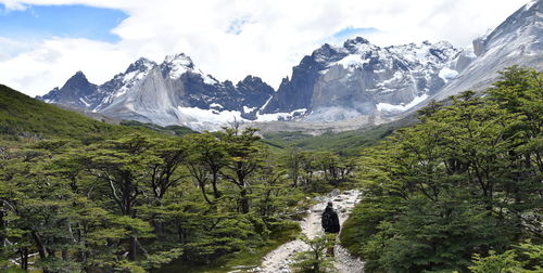 Scenic view of trees and mountains against sky