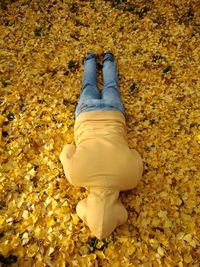 Low section of person standing on yellow autumn leaves