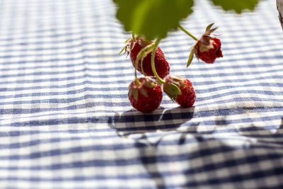 Close-up of strawberries growing on plant over table