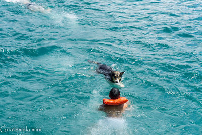 High angle view of man swimming in sea