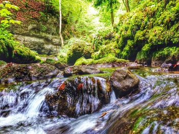 River flowing through rocks