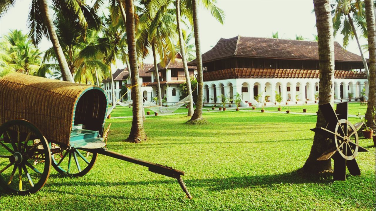 building exterior, architecture, built structure, grass, tree, house, lawn, green color, residential building, bicycle, sunlight, growth, chair, residential structure, window, plant, day, front or back yard, land vehicle, shadow